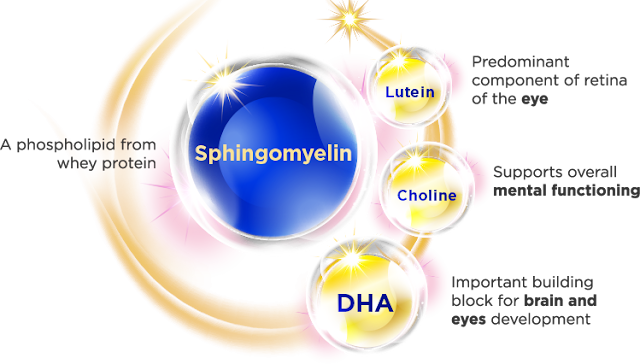Kelebihan Sphingomyelin untuk Kebutuhan si Kecil