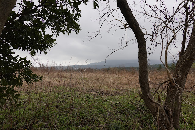 鳥取県米子市日下