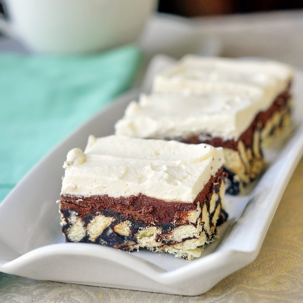 Chocolate Arrowroot Squares