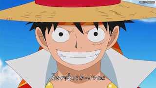 ワンピースアニメ ドレスローザ編 OPテーマ 17 | ONE PIECE Wake up! AAA