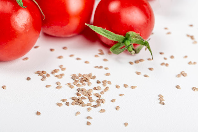 Tomato Seeds