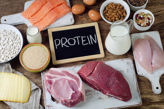 Health an care -Which foods are the richest in protein content?