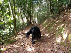 Patas 15 (100)