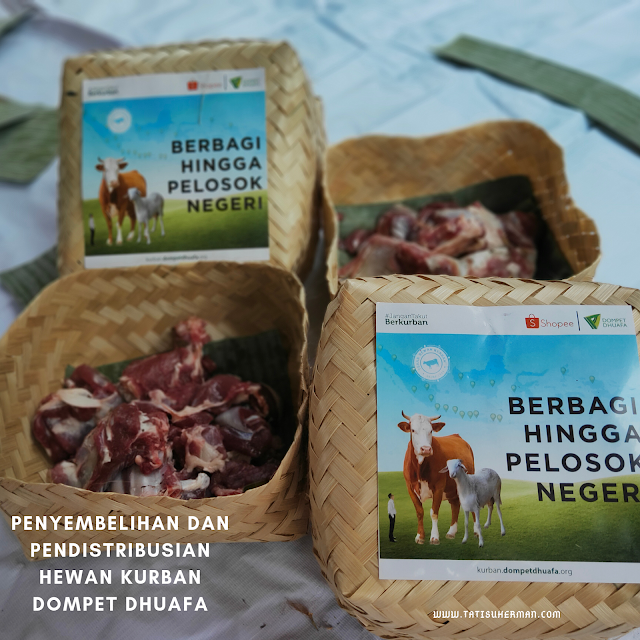 dompet dhuafa tebar hewan kurban