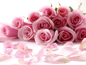 Beautiful Pink Roses Flowers Collections 26