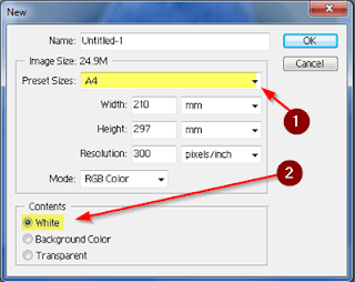 Passport size photo size in pixels in photoshop