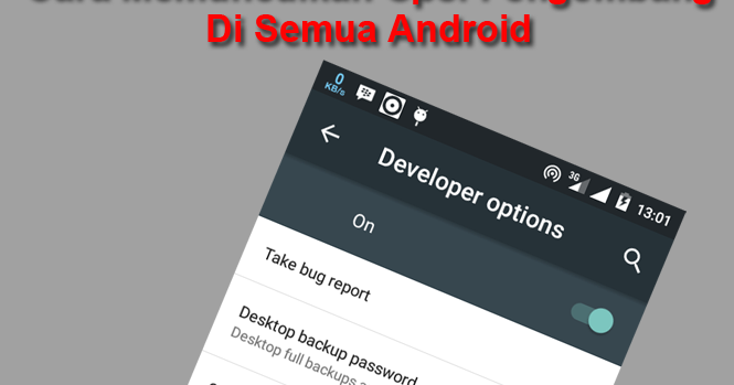 Cara Memunculkan Opsi Pengembang Di Semua Android