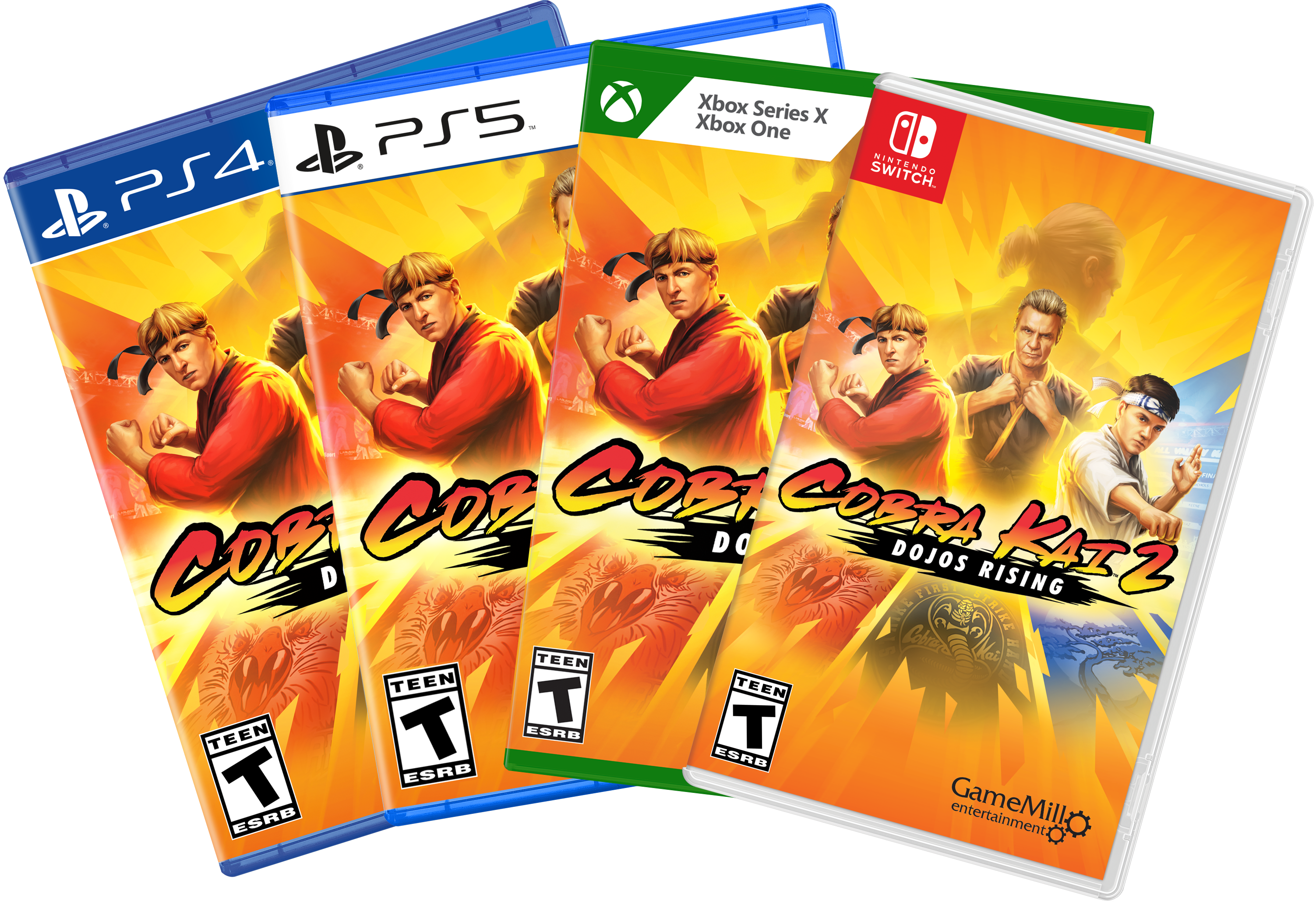 Cobra Kai 2 Dojos Rising, Jogo PS4