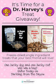 Infographic for Dr Harvey's treat giveaway