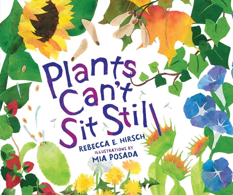 plants can't sit still book cover