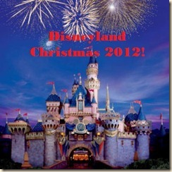 disney_castle_night