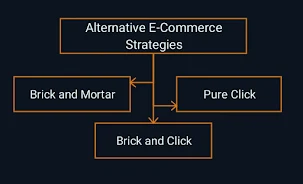 Alternative E-Commerce Strategies