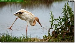 20150330_112811_191_JinSan