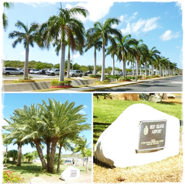 Tortola-airport