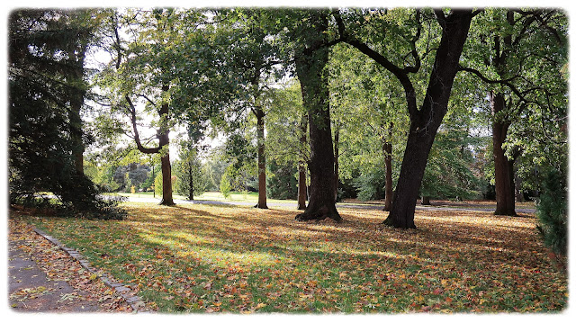 Like nedenfor Tøyen hovedgård i Botanisk hage på Tøyen i Oslo.