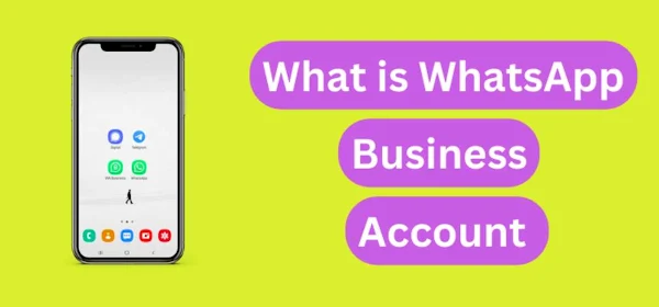 What is a Business Whatsapp Account