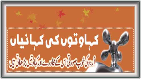 معروف اردو محاورے اور ان کی مثالیں | Urdu idiom with meaning and examples