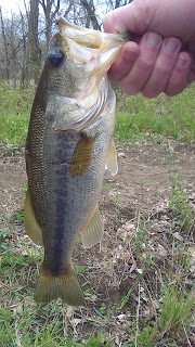 Bass, Fishing, Missouri