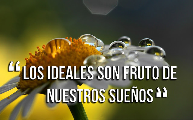 frases de ideal