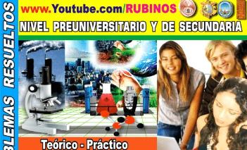 RUBIÑOS QUIMICA (PDF)