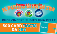 Logo Concorso ''Il pulito si fa in tre'': vinci 500 card Tigotà da 25€