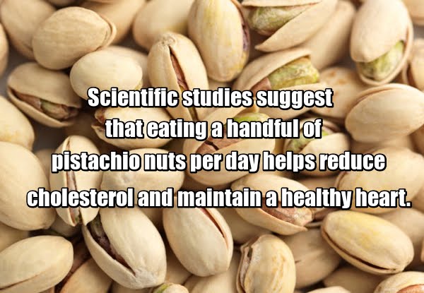 Scientific studies suggest that eating a handful of pistachio nuts per day helps reduce cholesterol and maintain a healthy heart. 