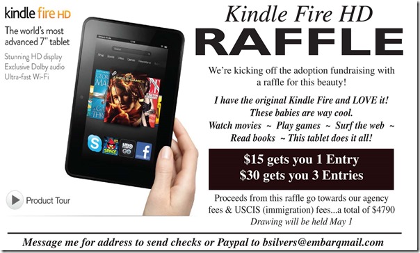 kindle fire - small.indd