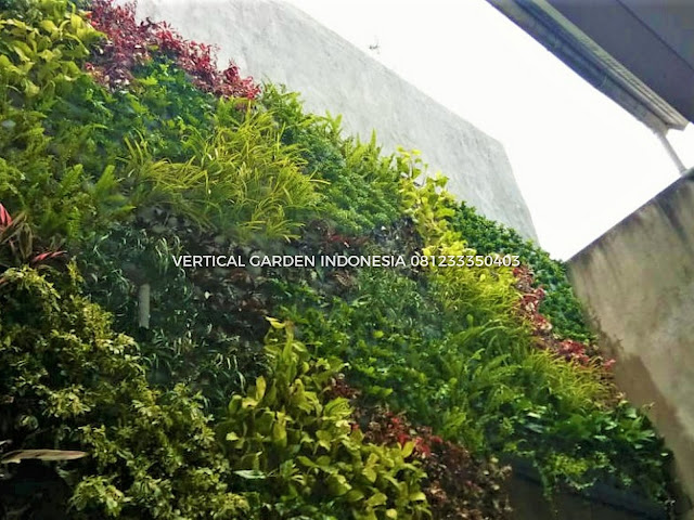 VERTICAL GARDEN INDONESIA SPESIALIS JASA PEMBUATAN VERTICAL GARDEN DI MALANG DAN DI SELURUH WILAYAH MALANG DENGAN TENAGA YANG PROFESIONAL DAN DAPAT DI PERCAYA YANG SELALU MENGUTAMAKAN SEBUAH MUTU DAN KUALITAS PEMASANGAN VERTICAL GARDEN/TAMAN DINDING, JASA TUKANG TAMAN VERTICAL MALANG, JASA VERTICAL GARDEN MALANG