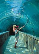 Atlantis Bahamas A Luxury Place For Visit (bahamas atlantis predator tunnel full)