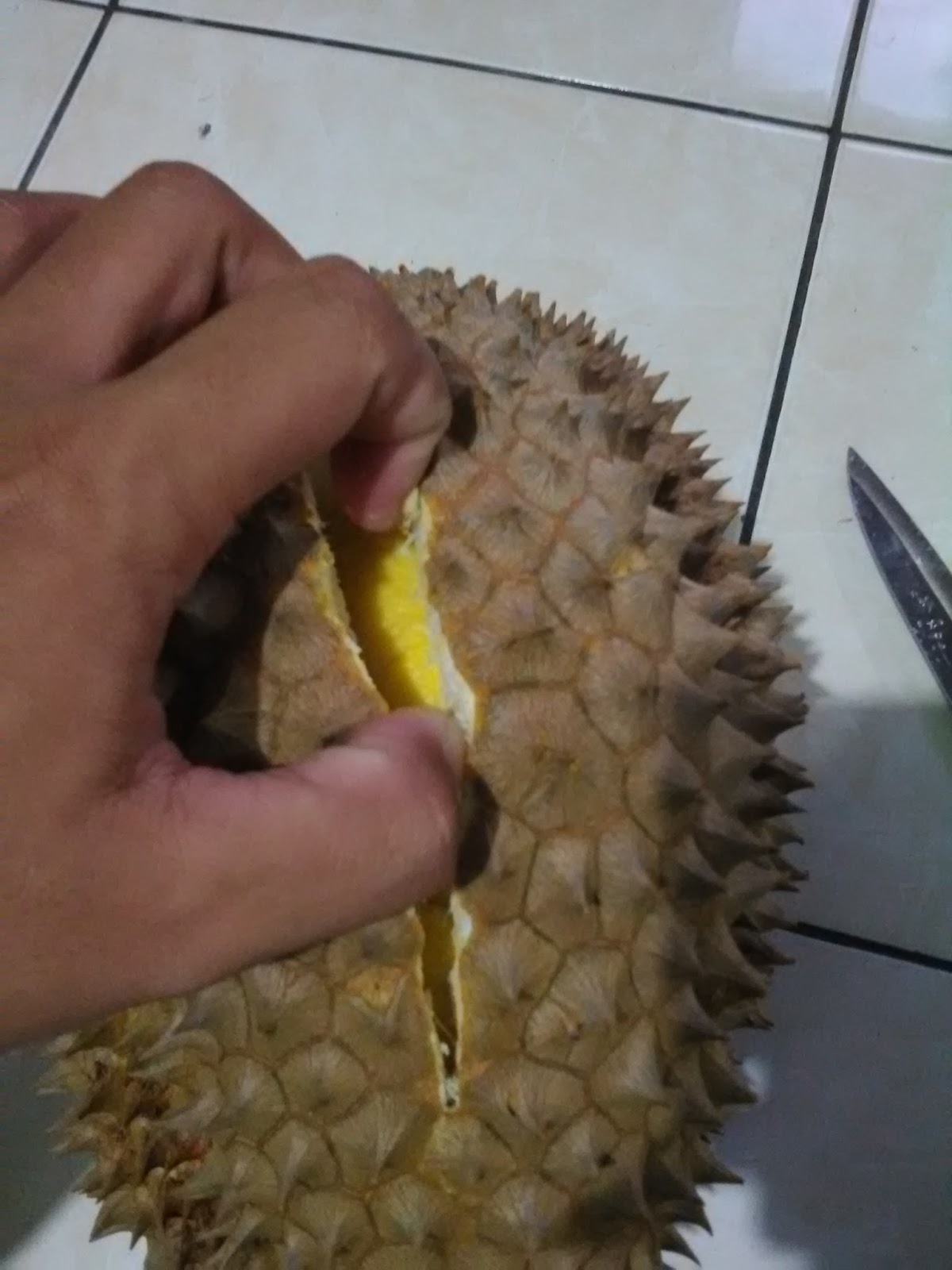 Waryo Durian 2016