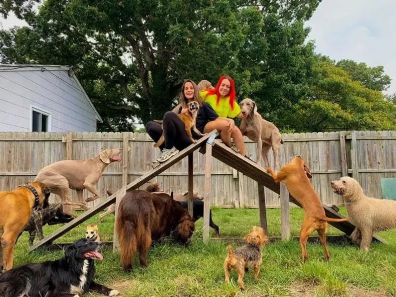 Virginia Couple With 30 Dogs