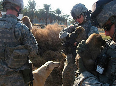 Soldiers with Pets Seen On www.coolpicturegallery.us