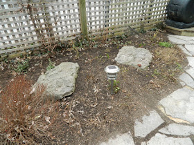 Leslieville Back Yard Spring Cleanup After by Paul Jung--a Toronto Organic Gardener