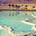 Тайны Мертвого моря: самые интересные факты о самом соленом месте на земле