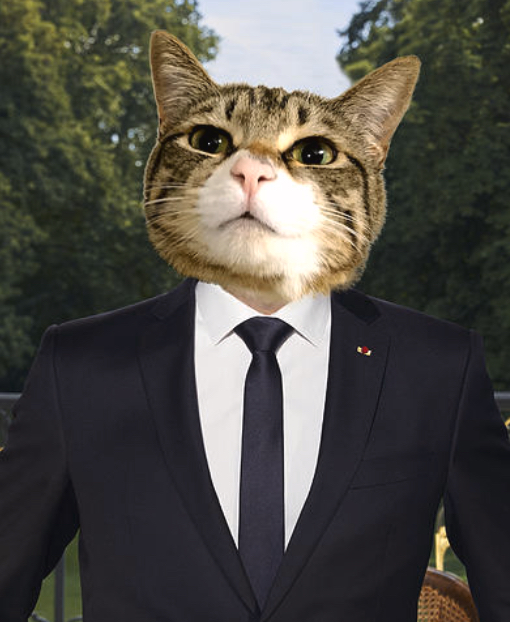 Stubbs, le chat  politicien