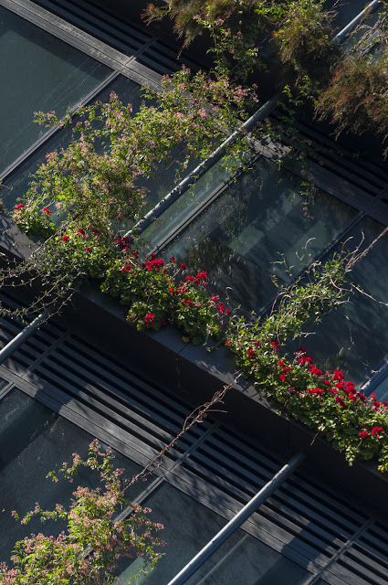 Ateliers Jean Nouvel, ajn, Patrick blanc, vertical garden, abstract, abstraction, abstractional, amazing, architecture, architects, Australia, Australian, detail, moss, ferns, vines, hanging garden, vertical garden, wall,  i now know what it is like to live in a jukebox, Lyons, Lyons architecture, Melbourne, metal, minimalist, modern, new, new horizon, postmodern, post-modern, postmodernist, stunning, the light monkey collective, Tim Macauley, wow, 2014, garden in the sky, Sydney, hydroponic, cladding, eco-system, garden tower, tower, one central park, award winning, mirrors, sky garden, green wall 