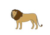 lion