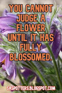 You cannot judge a flower until it has fully blossomed.