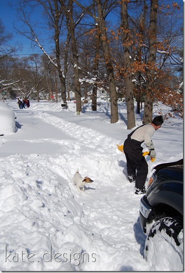 snow feb 7, 2010 002