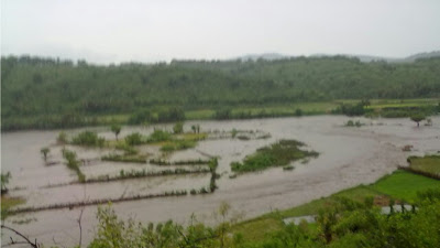 Banjir Besar Rusak  Lahan Pertanian di Wera