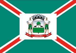 Bandeira de Janaúba - MG