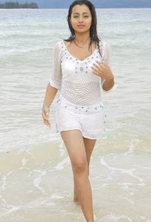 Hot Trisha in Bikini Photos