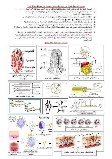 ملخص دروس العلوم الطبيعية للسنة الرابعة متوسط pdf