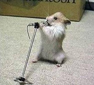 Singing Hamster?