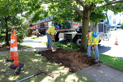 Sidewalk Repair