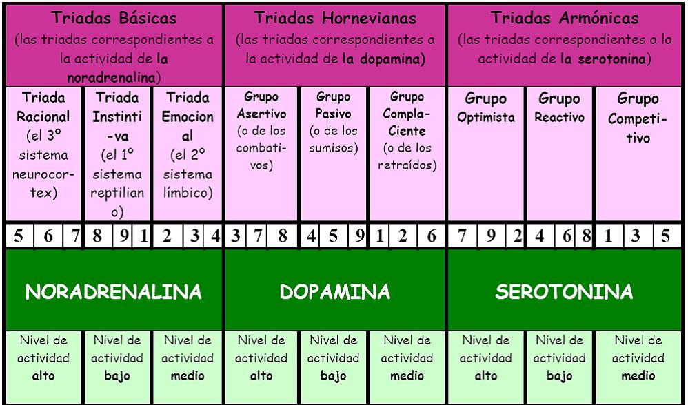 funciones del cerebro humano. Nivel de actividad cerebral de