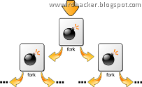 Concept of Fork Bomb - the processes recursively fork until a denial of service or a crash occurs