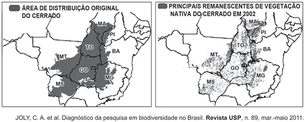 principais remanescentes de vegetação nativa do cerrado em 2002