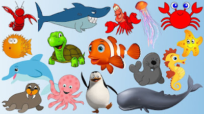 Từ vựng tiếng Anh về các loài động vật biển