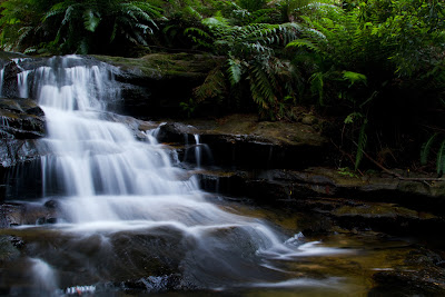 Leura Cascades - Blue Mountains, Australia